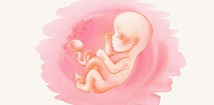 9 месяц беременности: с какой недели начинается, каковы ощущения матери, что происходит с ребенком?