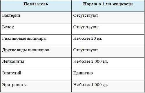 Анализ мочи по Нечипоренко у детей: норма и расшифровка результатов, сбор биоматериала