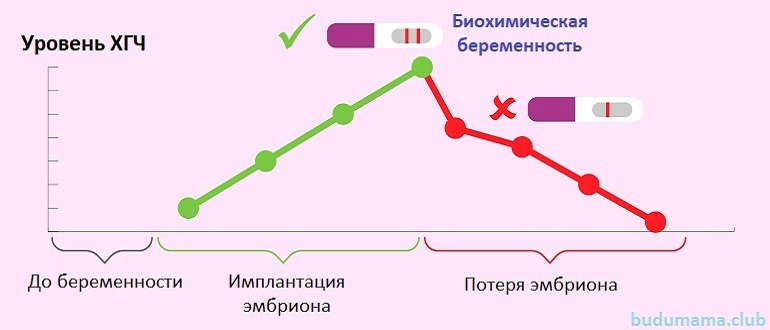Биохимическая беременность: что это такое и какие причины, что делать?