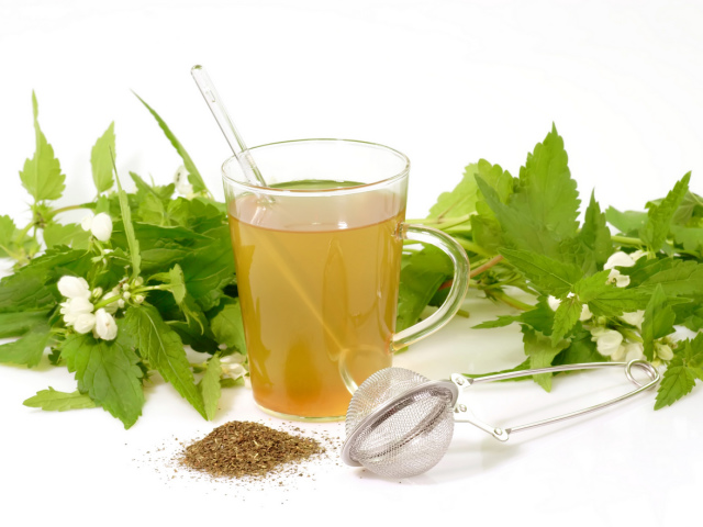 Боровая матка: применение при планировании беременности для зачатия