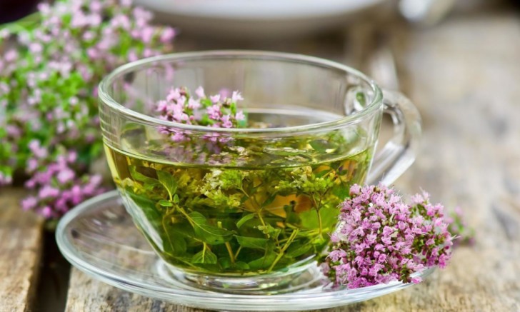 Чабрец при беременности: можно ли беременным пить чай с тимьяном и мятой на ранних и поздних сроках?