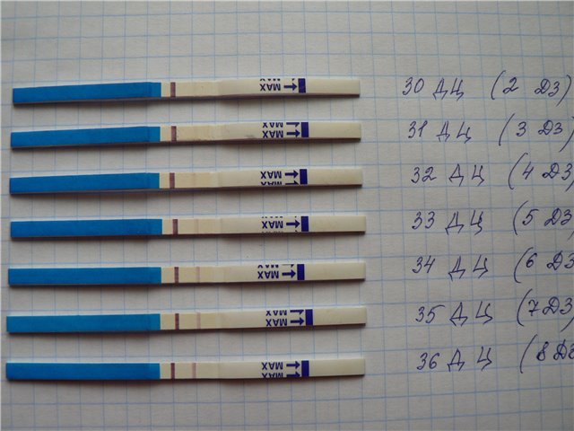 Через сколько дней после зачатия тест покажет беременность, когда его можно делать, калькулятор