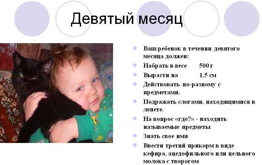 Что должен уметь ребенок в 9 месяцев: критерии развития мальчика, девочки