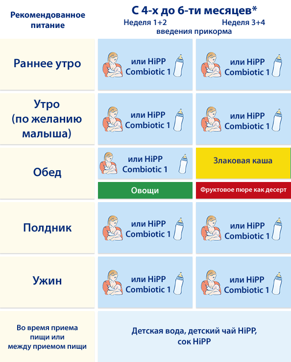 Что можно давать ребенку в 3 месяца кроме смеси и грудного молока: питание