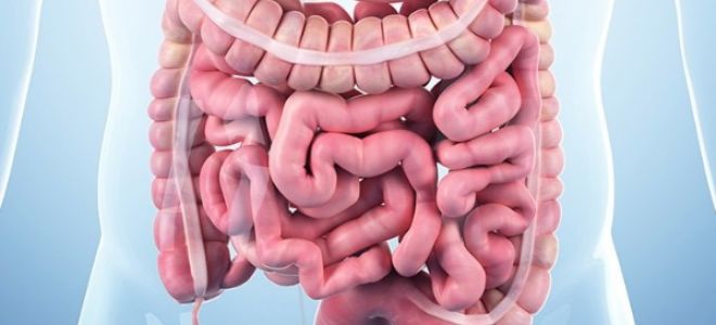 Дискинезия кишечника у детей: причины возникновения, симптомы и лечение