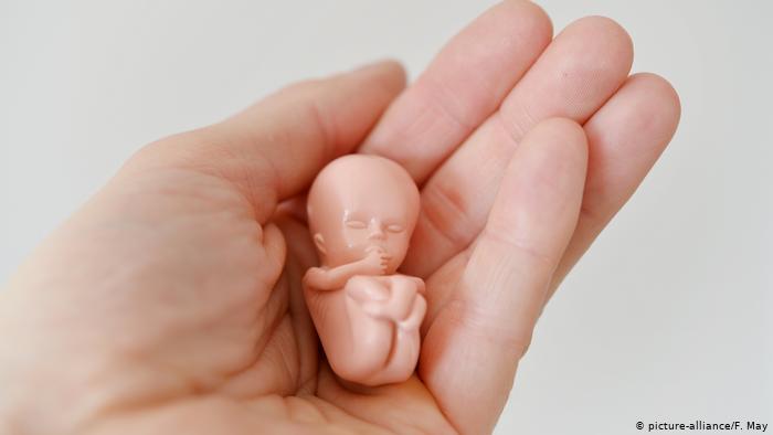 До какого срока можно прервать беременность: неделя, когда делают медикаментозный аборт