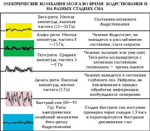 ЭЭГ головного мозга ребенку: что показывает энцефалограмма — расшифровка, норма, нарушения