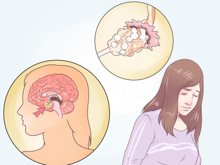 ФСГ-гормон: что это такое, каковы нормы у женщин по возрасту, о чем говорят отклонения?