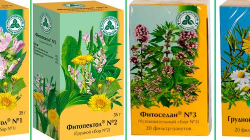 Грудной сбор при беременности: инструкция по применению в 1-3 триместрах и противопоказания