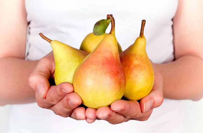 Груши при грудном вскармливании: можно ли кормящей маме в первый месяц?