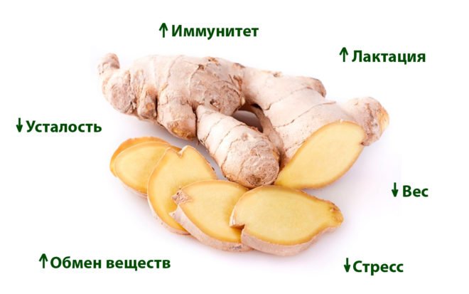 Имбирь при грудном вскармливании: можно ли кормящей маме имбирный чай?