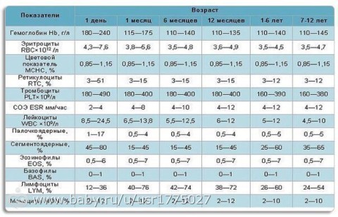 Индекс распределения эритроцитов RDW-SD — понижен у ребенка или повышен в анализе крови — что это?
