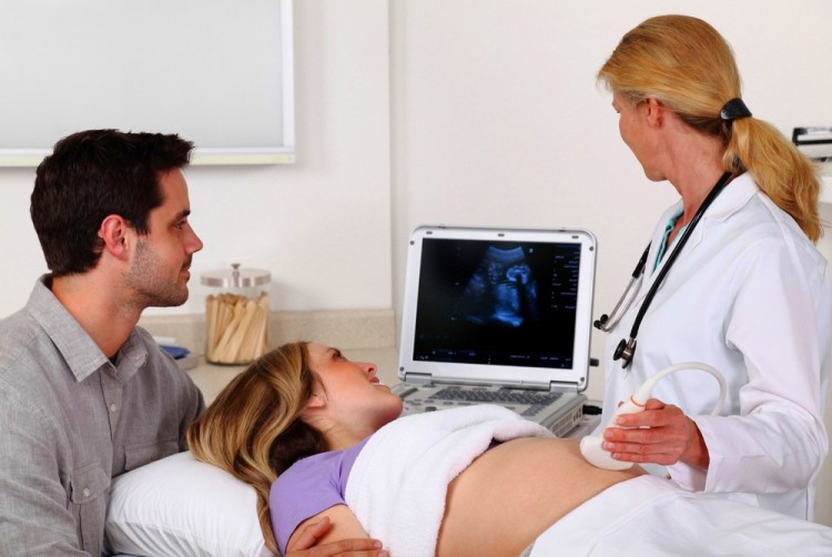 Как часто можно делать УЗИ при беременности, вредно ли это для плода, сколько раз назначают?