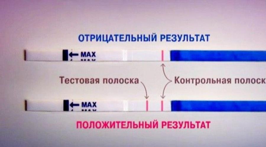 Как гинеколог определяет беременность на ранних сроках при осмотре?
