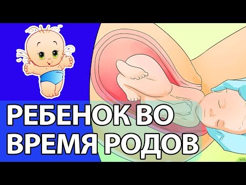 Как ведет себя ребенок перед родами и во время схваток: активно шевелится или затихает?