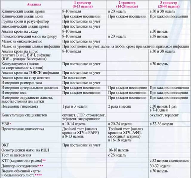 Какие анализы нужно сдавать при беременности в 1, 2 и 3 триместрах: список