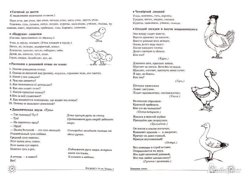 Логопедические занятия для детей 4-5 лет: упражнения по речевому развитию, видео