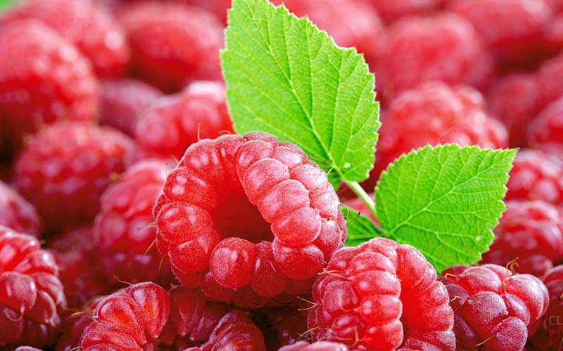 Малина при грудном вскармливании и малиновое варенье: можно кормящей маме?