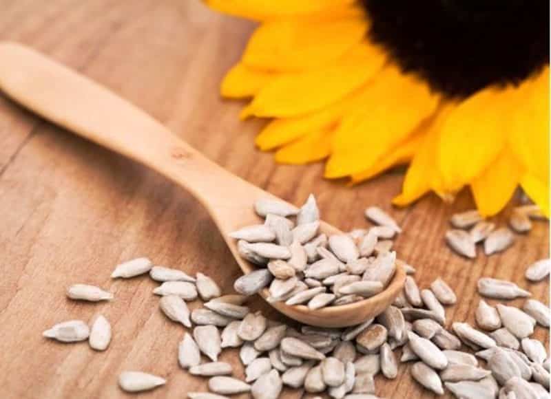 Можно ли кормящей маме семечки при грудном вскармливании (подсолнуха, тыквенные)
