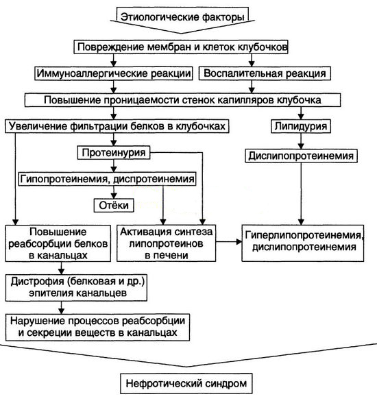 Нефротический синдром у детей — причины развития заболевания и лечение
