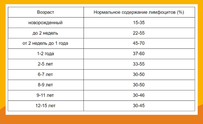 Норма лимфоцитов в крови у ребенка по возрасту с таблицей после проведения анализа