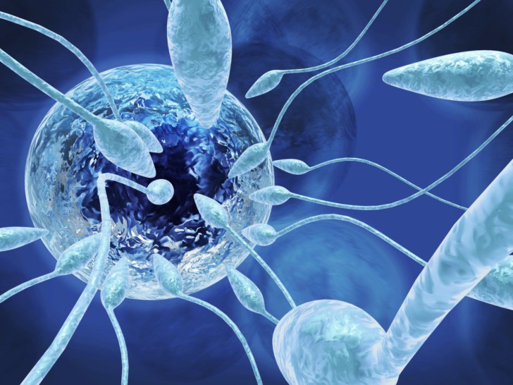 Нормозооспермия – что это значит, хорошо или плохо, что такое агглютинация и агрегация?