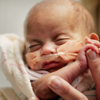 Опасные недели беременности: самые критические сроки, когда существует вероятность выкидыша