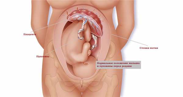 Ощущения после переноса эмбрионов по дням: что происходит в организме, какие положительные признаки?