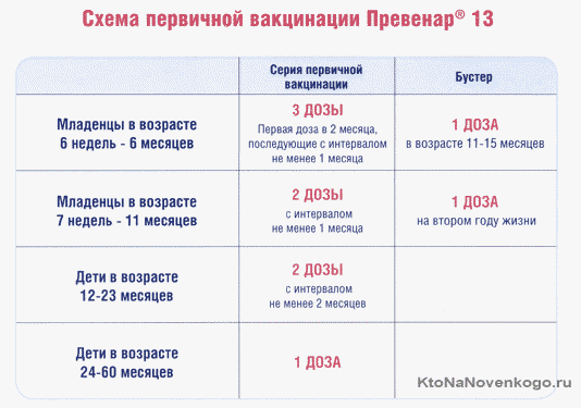 Пневмококковая прививка от инфекции детям до года: реакция, график вакцинации, побочные действия