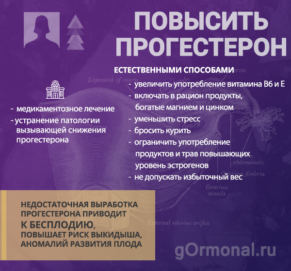 Прогестерон: как повысить у женщин естественными способами для зачатия?