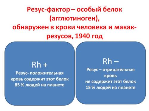 Резус-фактор: что это такое, чем отличается положительный от отрицательного?