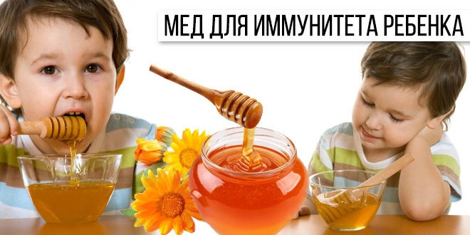 С какого возраста можно давать ребенку мед, бывает ли на него аллергия?