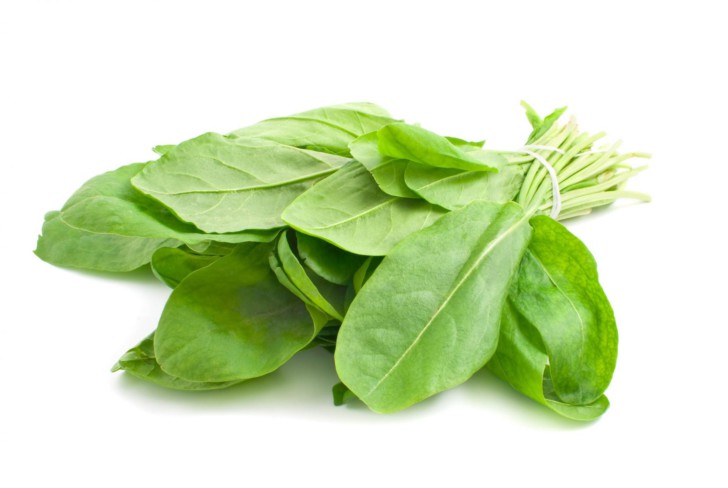 Щавель при беременности: можно ли кушать беременным щавелевый суп?