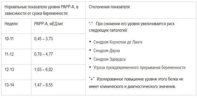 Скрининг 1 триместра беременности: что показывает, какие исследования проводятся?