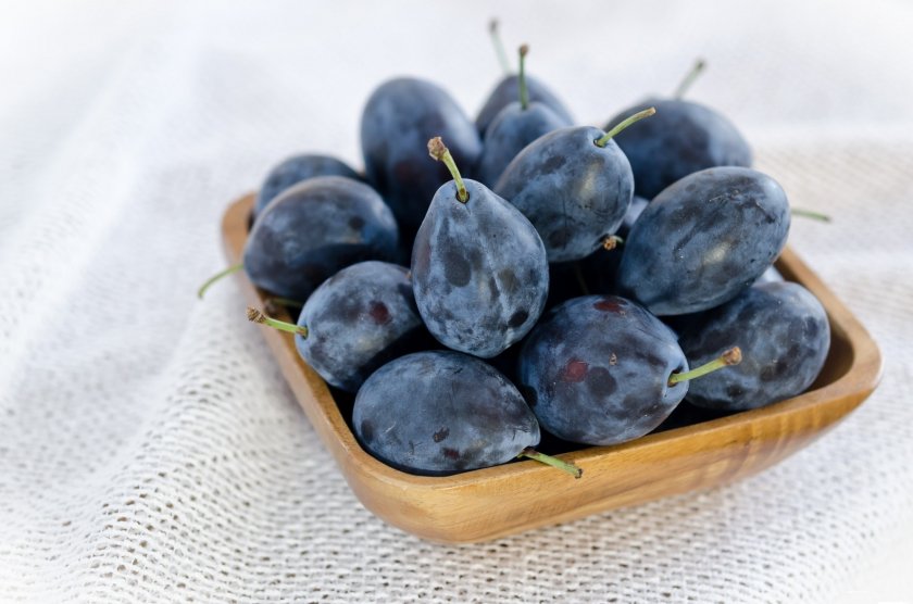 Слива при грудном вскармливании: можно ли кормящей маме?