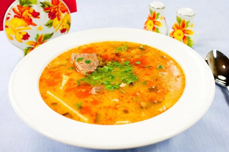 Супы для кормящих мам: рецепты в первый месяц (грибной, из индейки, фасолевый)