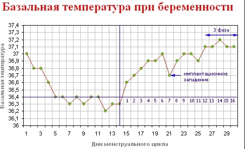 Температура 37 при беременности на ранних сроках – нормально ли это?