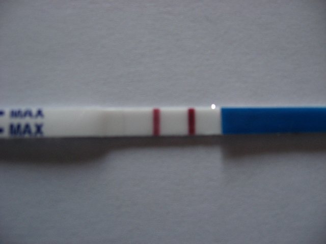 Тест на беременность: фото 2 полоски, как выглядит положительный и отрицательный результат