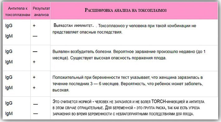 Токсоплазмоз при беременности: последствия для плода, симптомы заболевания, расшифровка анализа