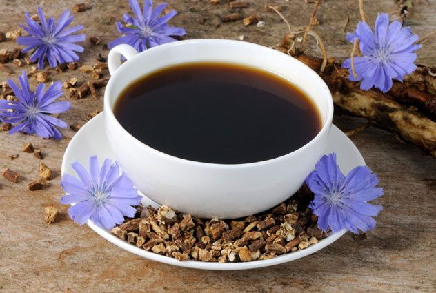 Цикорий при грудном вскармливании: можно ли кормящей маме (Комаровский)