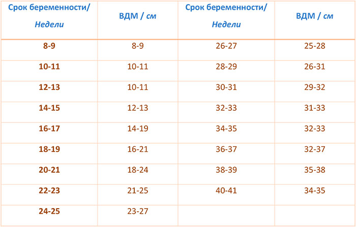 Высота стояния дна матки по неделям беременности: таблица показателей нормы