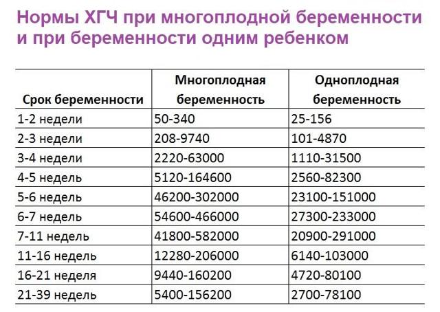 ХГЧ по неделям беременности: калькулятор, норма по дням от зачатия и расшифровка результатов