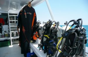 Какое снаряжение понадобится для занятий дайвингом