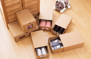 Коробки для обуви оптом и в розницу