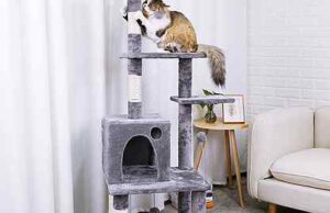 Домик для кота: как сделать правильный выбор