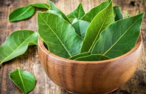 Польза лаврового листа