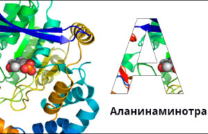 Аланинаминотрансфераза: показания к проведению анализа