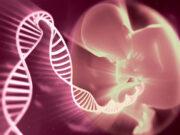 Как получить направление на ЭКО по полису ОМС