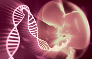 Как получить направление на ЭКО по полису ОМС