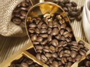 Кофе в зернах: особенности правильного выбора